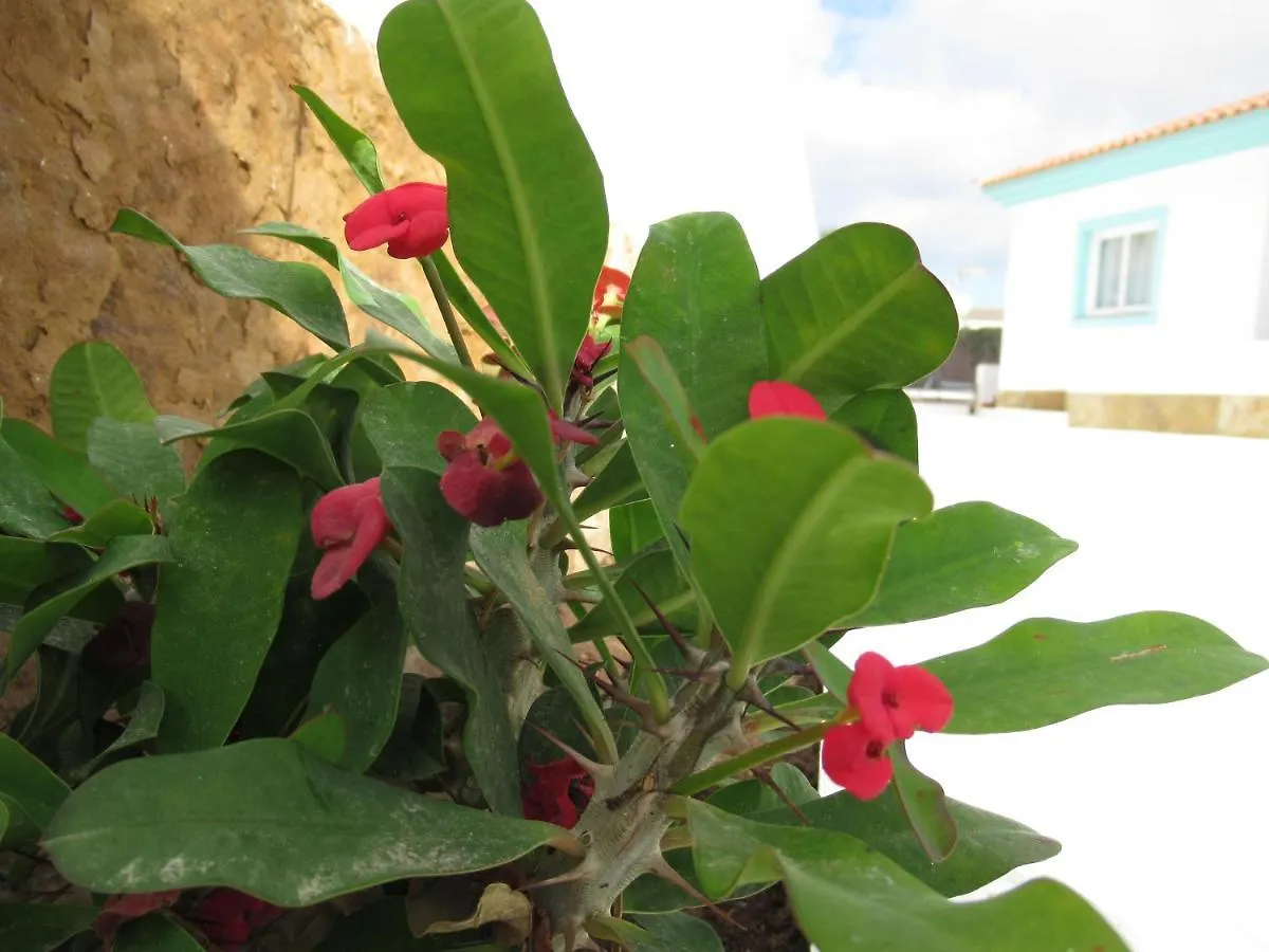Aparthotel Nautico Boutique Apartments, By Comfortable Luxury - Adults Only Corralejo Spain